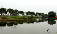 Landscape near Hanoï