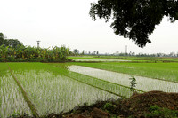 Landscape near Hanoï