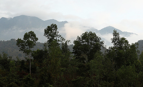 North Vietnam