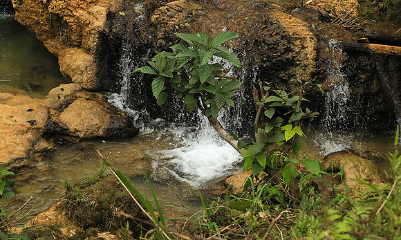 Pu Luong - Northern Vietnam