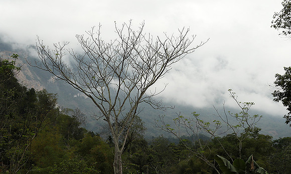 Pu Luong - Northern Vietnam