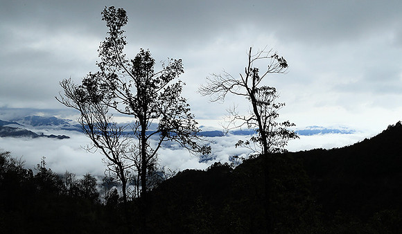 North Vietnam