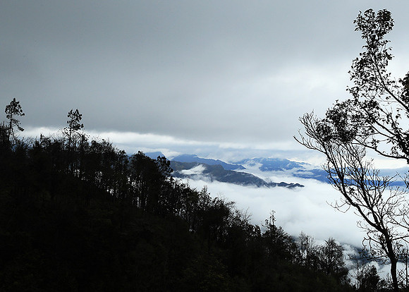North Vietnam