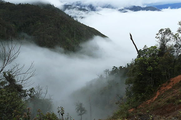 North Vietnam