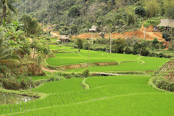 Pu Luong - Northern Vietnam