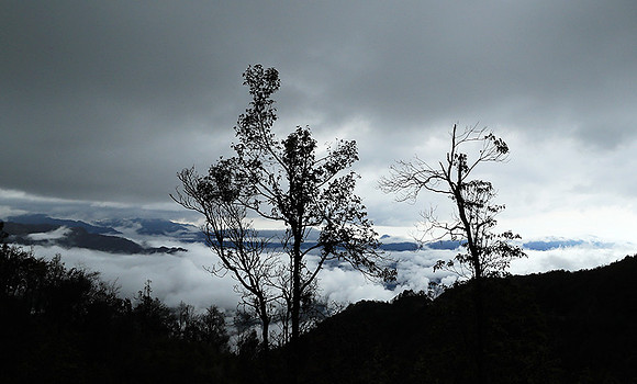 North Vietnam
