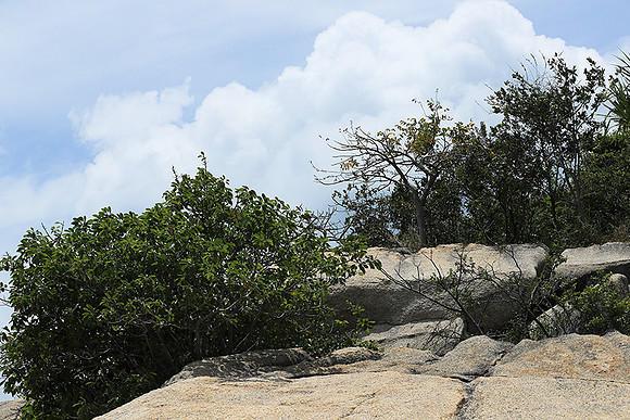 Ninh Van Bay