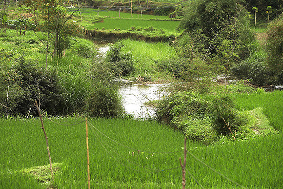 Pu Luong - Northern Vietnam