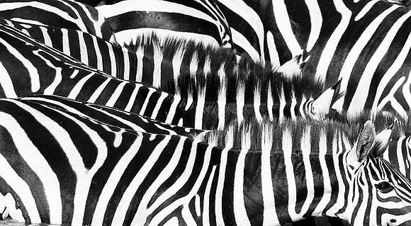 Serengeti