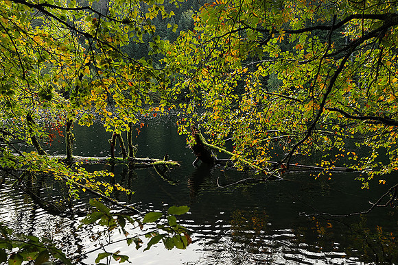 Lac de la Maix