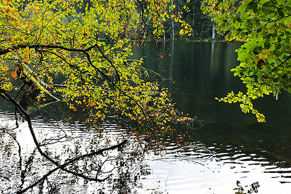 Lac de la Maix