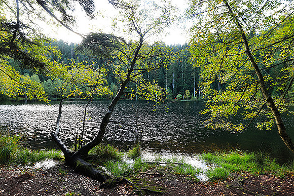 Lac de la Maix