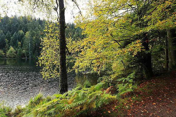 Lac de la Maix