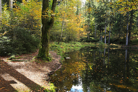 Etang Framboise