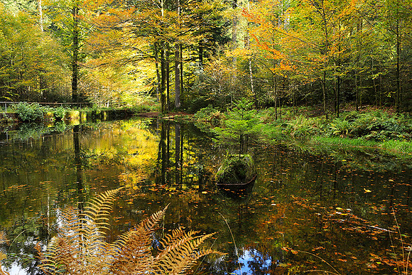 Etang Framboise