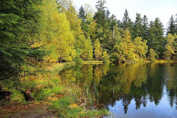 Lac de la Maix