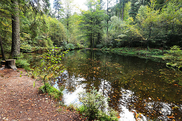 Etang Framboise