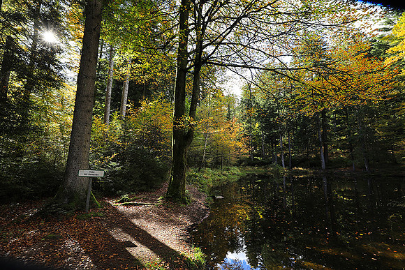 Etang Framboise