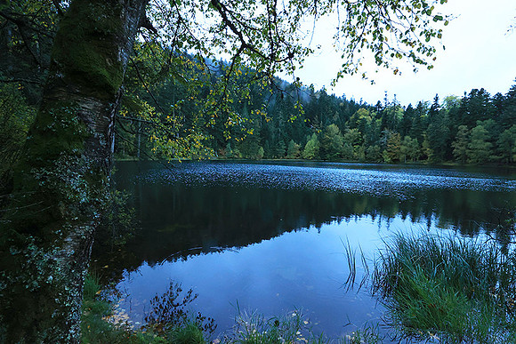 Lac de la Maix