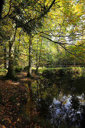Etang Framboise