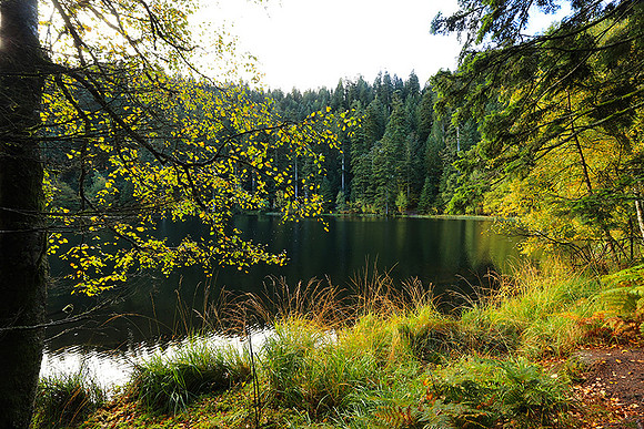 Lac de la Maix
