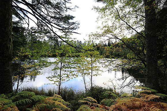 Lac de la Maix