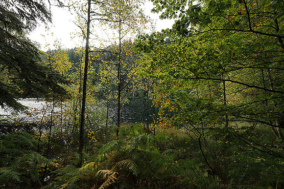 Lac de la Maix