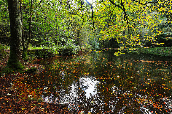 Etang Framboise