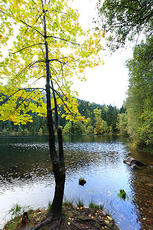 Lac de la Maix