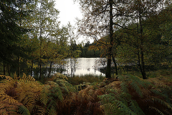 Lac de la Maix