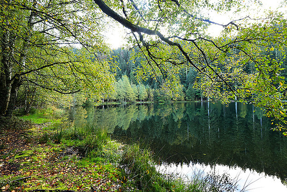 Lac de la Maix