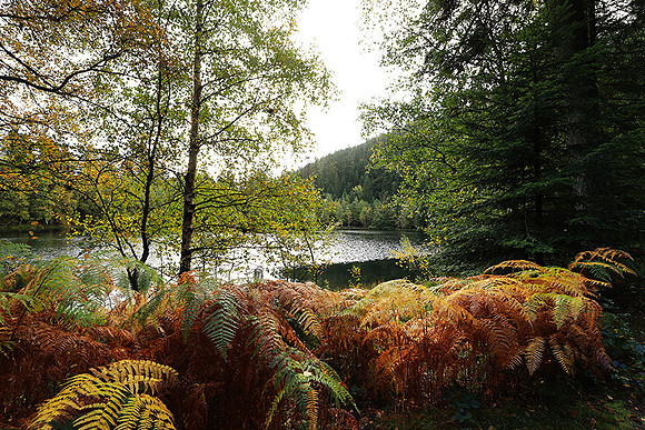 Lac de la Maix