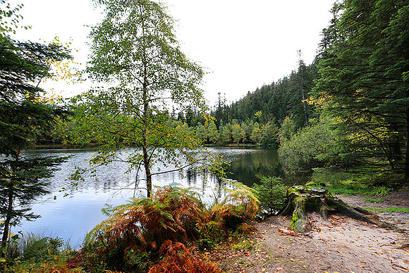 Lac de la Maix
