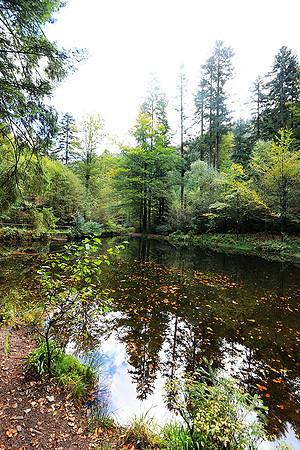 Etang Framboise