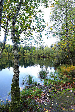 Lac de la Maix