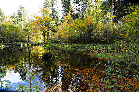Etang Framboise