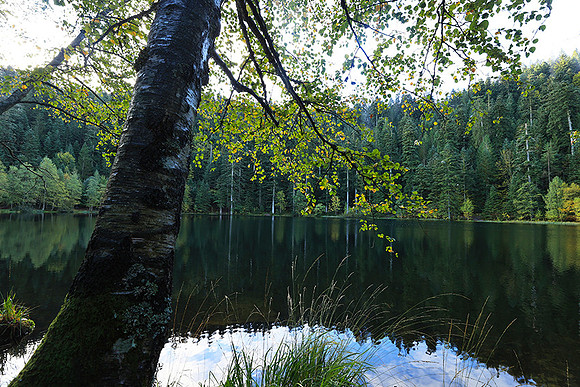 Lac de la Maix