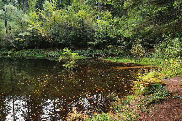 Etang Framboise