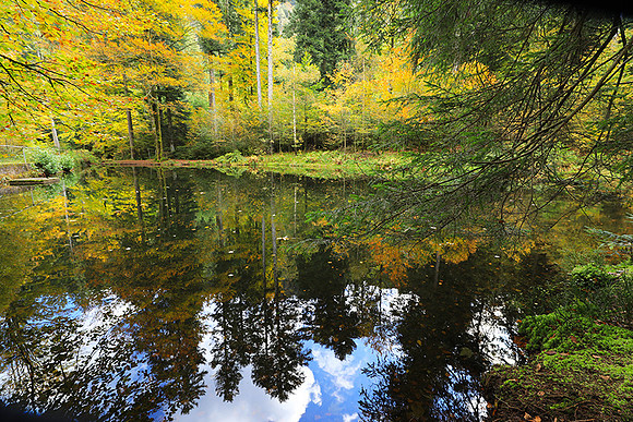 Etang Framboise