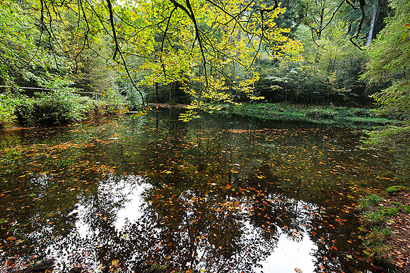 Etang Framboise