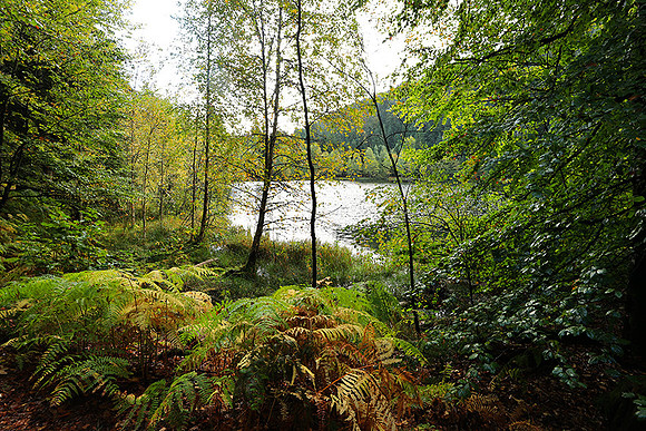 Lac de la Maix