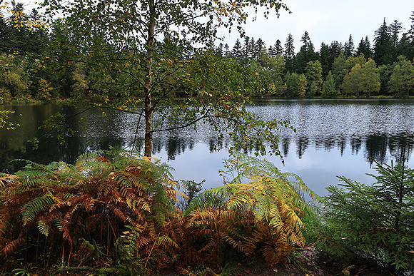 Lac de la Maix