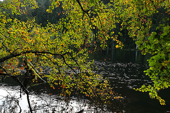 Lac de la Maix