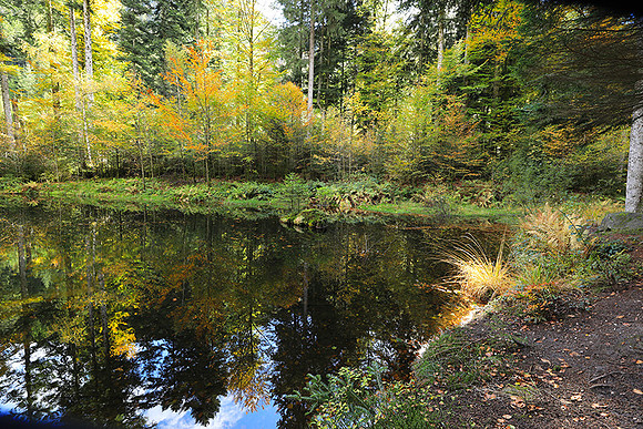 Etang Framboise