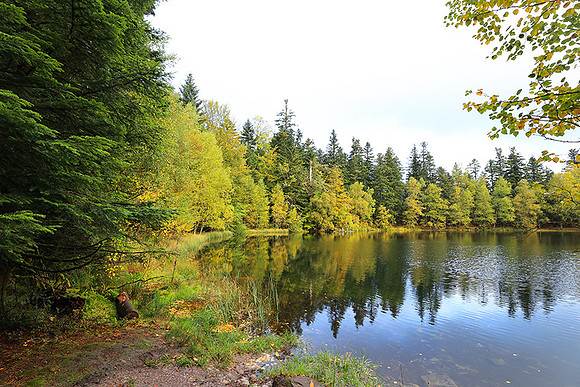 Lac de la Maix