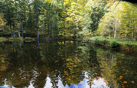 Etang Framboise