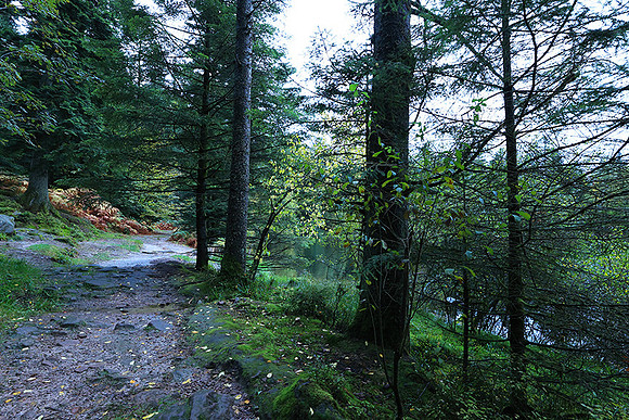 Lac de la Maix
