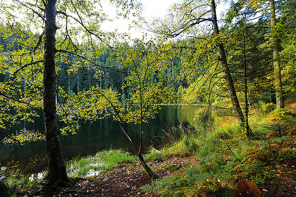 Lac de la Maix