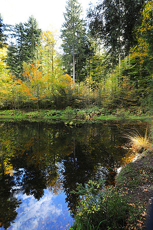 Etang Framboise