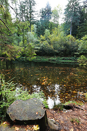 Etang Framboise